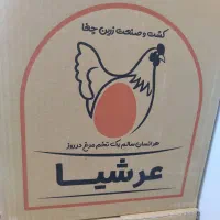 پخش تخم مرغ کلی و جزئی