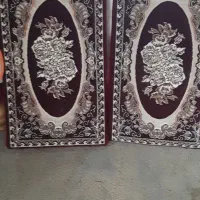 تشک وپشتی