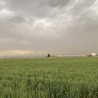 اجاره گلخانه