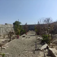 چهار دیواری باغی