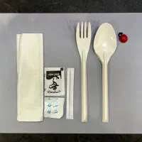 پک قاشق چنگال یکبار مصرف پذیرایی