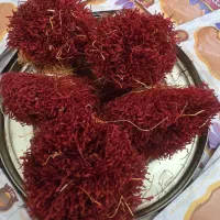 دختر پیچ های  ارگانیک خراسان
