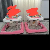 2 عدد روروئک صورتی
