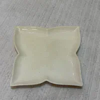 ظرف سرو‌ سرامیکی نو