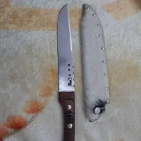 ۳۰ سانتی دسته عناب سفارشی