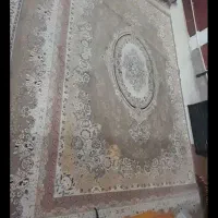 قالی رنگ  گردویی قیمت  مناسب جنس خوب
