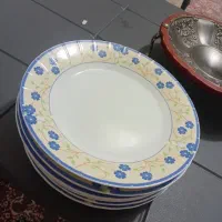 بشقاب پلو خوری