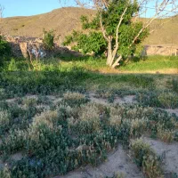 زمین مسکونی و ویلایی