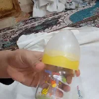 صندلی|تخت و صندلی بچه|زابل, |دیوار