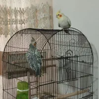 عروس هلندی