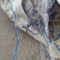 تور ماهیگیری گاریزی