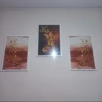 تابلو سه تیکه قشنگ و سالم