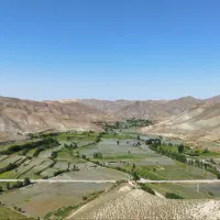 اقامتگاه سوییت بومگردی تخفیف