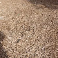 کود مرغی قفسی درجه یک