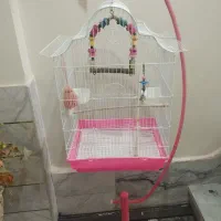 قفس پرنده