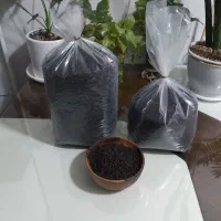 چای ممتاز شمال