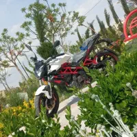 موتوربنلی تک سیلندر ۲۵۰