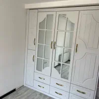 مشارکت ولیعصر جنوبی برخیابان