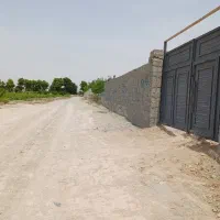 ۳۰۰ باغچه منجیل آباد