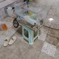 آکواریوم شیشه خم