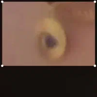 پلاک گمشده