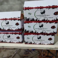 جعبه کارتن