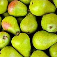 گلابی تازه الموت