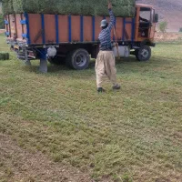 خرید یونجه پرس  داخل زمین به قیمت مناسب