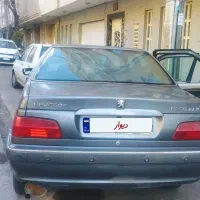 پرشیا نوک مدادی تمیز سالم