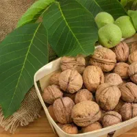پوست گیری گردو با دستگاه / فروش محصولات خانگی