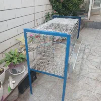 فروش قفس مرغ