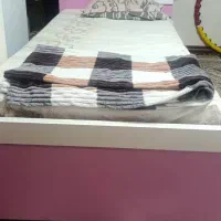 تخت ام دی اف