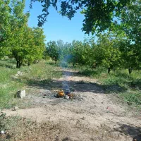 زمین مسکونی شاهمراد اباد