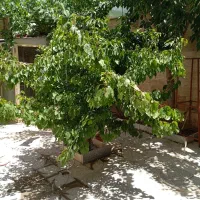 منزل-مسکونی