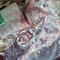 گوشت کوسفنوی .یخ زده