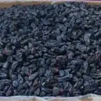 زعفران مویز درجه یک