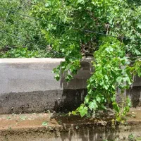 خانه باغ بنادک سادات  ۶۰۰متر