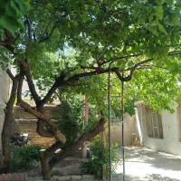 فروش-ملک-قدیمی