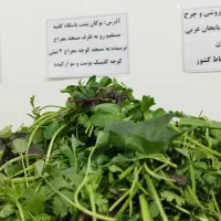 سبزی چرخ کرده(خام) هرکیلو ۱۵۰هزارتومان