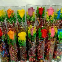 باکس گلدان  شیشه‌ای جاودان