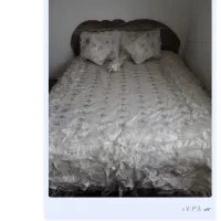 تخت و۲پاتختی