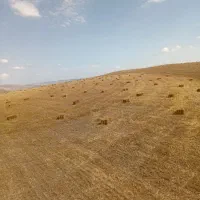 پرس جو کلش جو