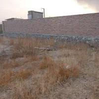 اگر-میخواهید-دامداری-یا-گاوداری-شروع-کنید