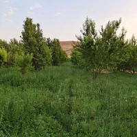 ۴جریب باغ زیر رودخانه
