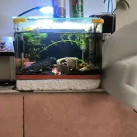 آکواریوم شیشه خم