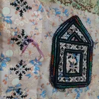 دوچگر سیاه دوچ