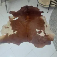 پوست طبیعی