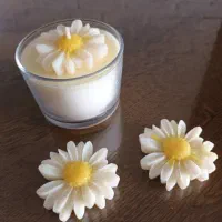شمع|صنایع دستی و سایر لوازم تزئینی|مشهد, کوی دروی|دیوار