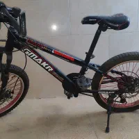 دوچرخه20