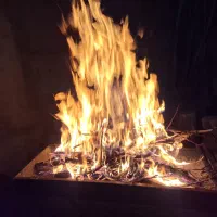 فال تخصصی